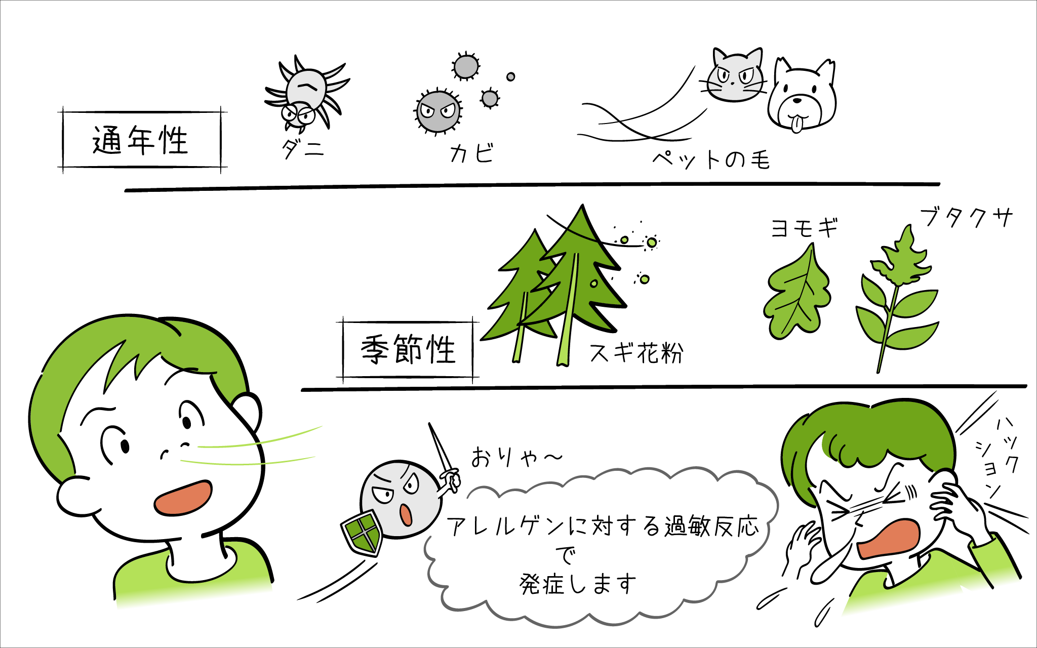 アレルギー性鼻炎について、こころみクリニックの耳鼻科医専門医が解説。