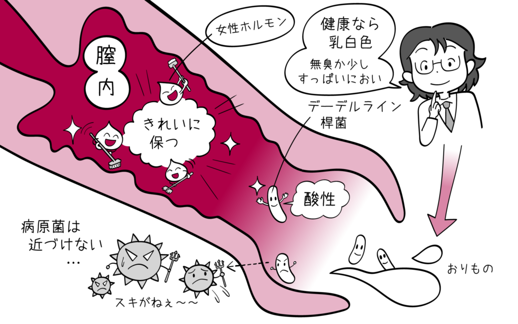 おりものがいつもと違うときについて、婦人科専門医が解説します。