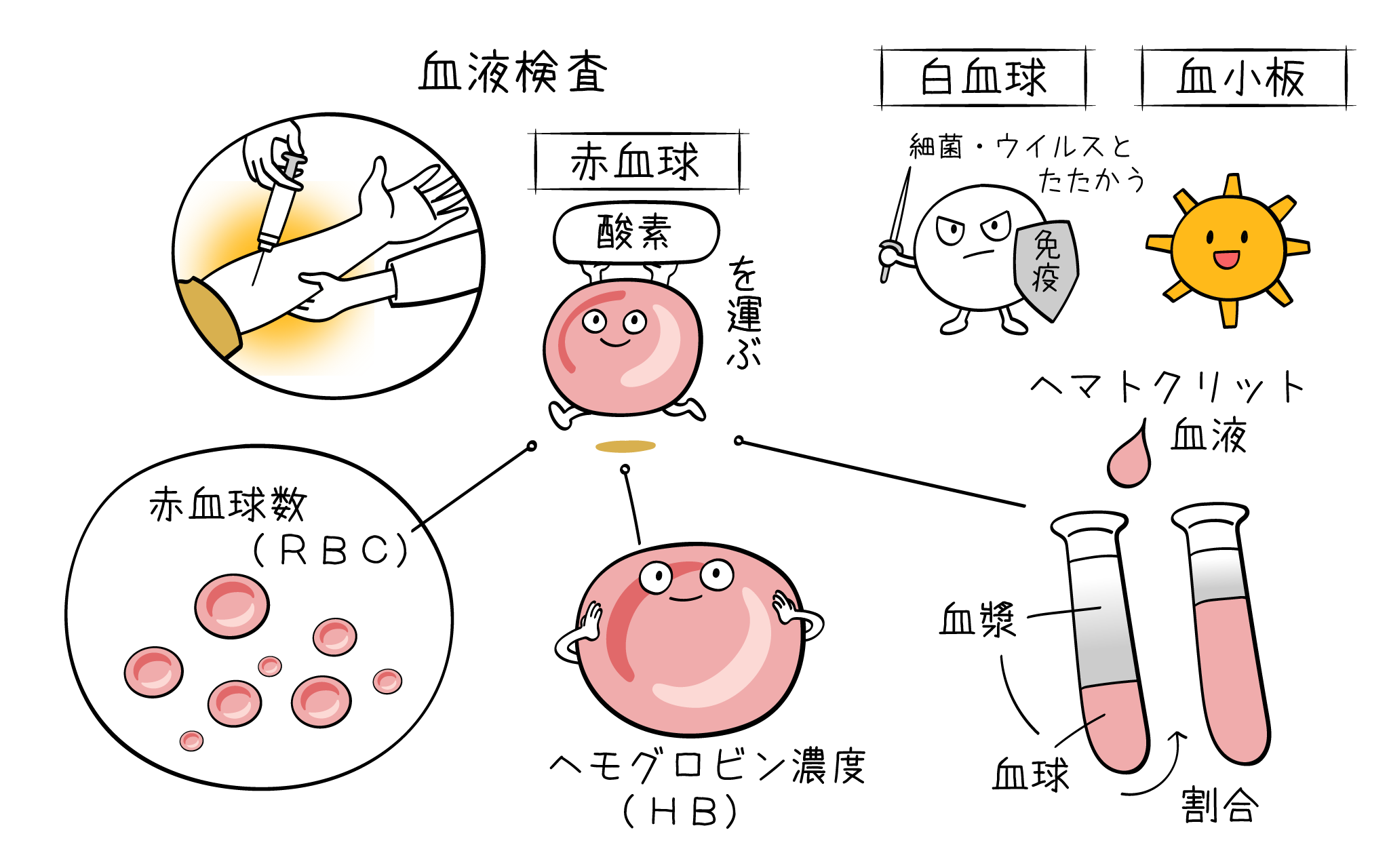 血液検査について、内科専門医が解説します。