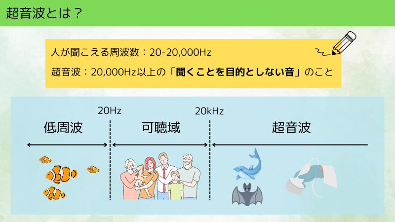 超音波検査の「超音波」について、熟練技師が紹介します。